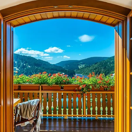 Gasthuis Happy Superior 3*